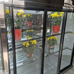 Холодильники для цветов в Поставах